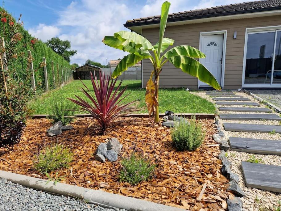 La Villa Des Pins Maison Standing 7 Pers Terre Et Mer Brach Exterior photo